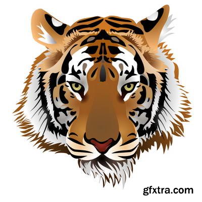 Tiger Collection 43xEPS