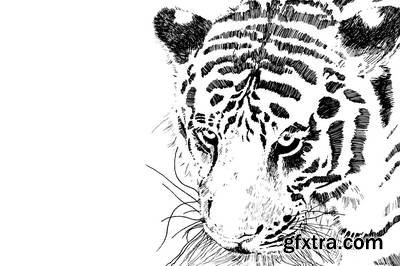 Tiger Collection 43xEPS