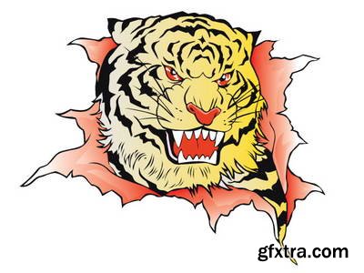 Tiger Collection 43xEPS