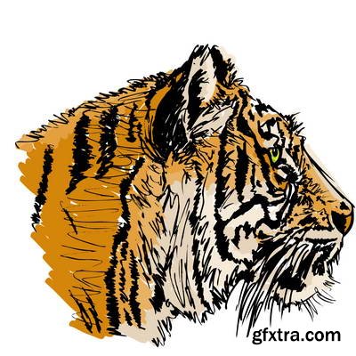 Tiger Collection 43xEPS