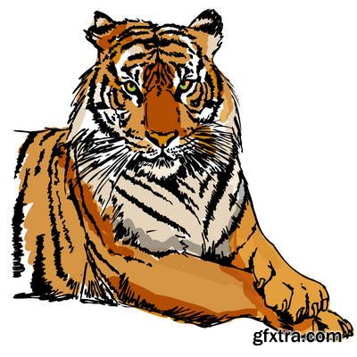 Tiger Collection 43xEPS