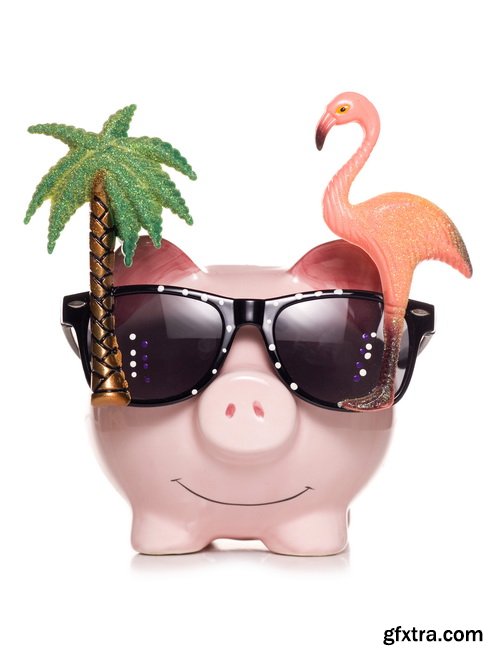 Piggy Bank on White Background 25xJPG Piggy Bank on White Background 25xJPG