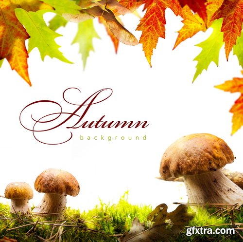 Autumn Sales II, 25xEPS