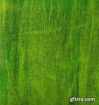 Leather Collection (Textures, Patterns and Elements) 17xJPG & 8XEPS