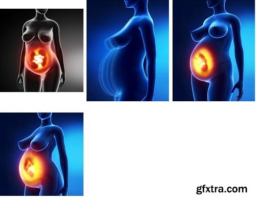 Human Anatomy Great Collection 175xJPG