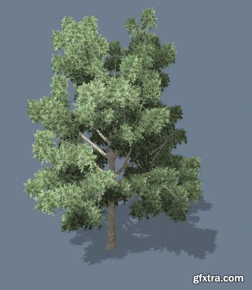 3D Model - A Tree