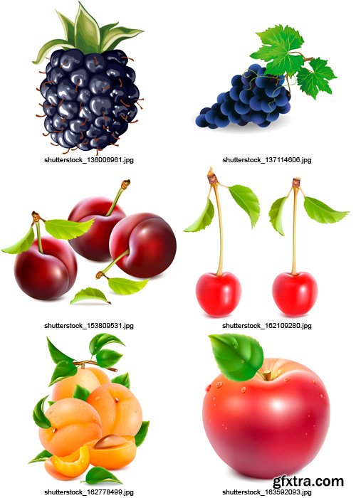 Amazing SS - Juicy Fruit 2, 25xEPS Amazing SS - Juicy Fruit 2, 25xEPS