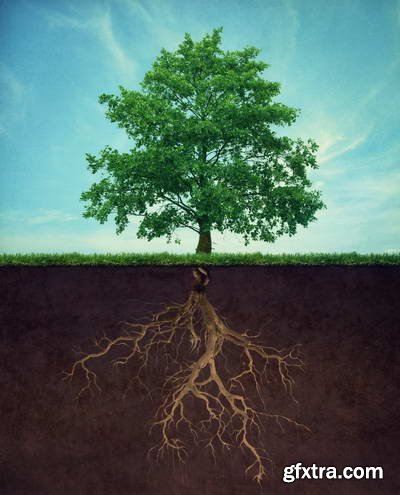 Consepts &amp; Ideas 37xJPG