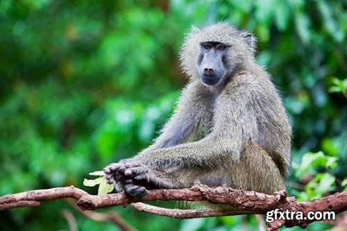 Travel Collection 4, 25 UHQ JPEG