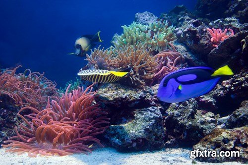 Travel Collection 4, 25 UHQ JPEG