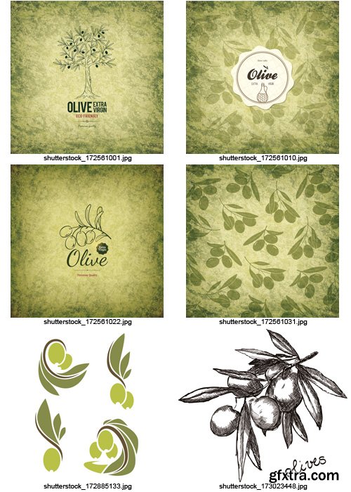 Amazing SS - Collections of Olive Elements 6, 25xEPS