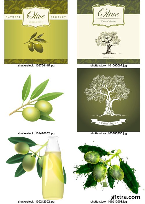 Amazing SS - Collections of Olive Elements 6, 25xEPS