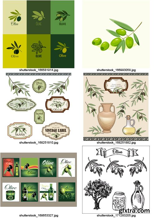 Amazing SS - Collections of Olive Elements 6, 25xEPS