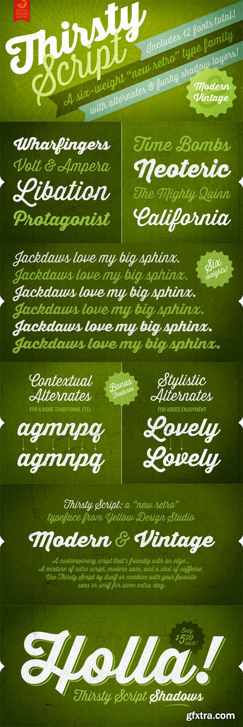 Thirsty Script Font Family 12xOTF