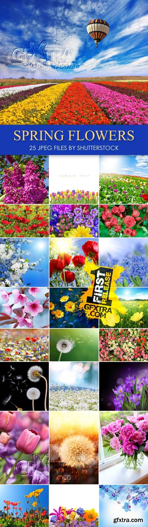 Stock Photo - Spring Flowers 25 JPEG