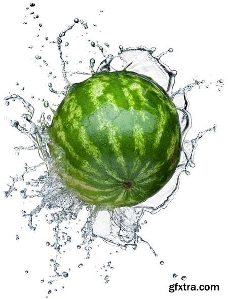 Vegetables and Fruits on White Background 49xJPG