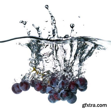 Vegetables and Fruits on White Background 49xJPG