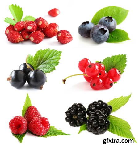 Vegetables and Fruits on White Background 49xJPG