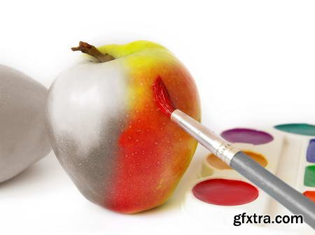 Vegetables and Fruits on White Background 49xJPG