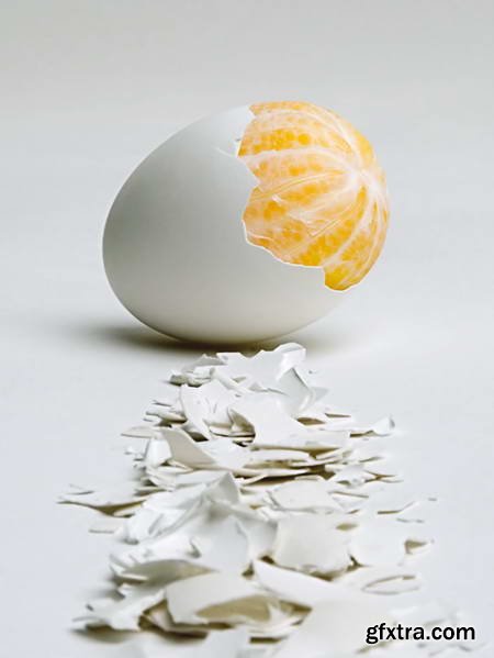 Vegetables and Fruits on White Background 49xJPG