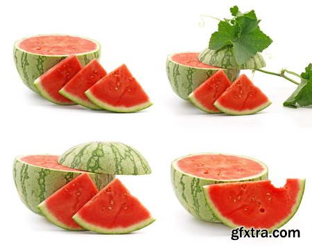 Vegetables and Fruits on White Background 49xJPG