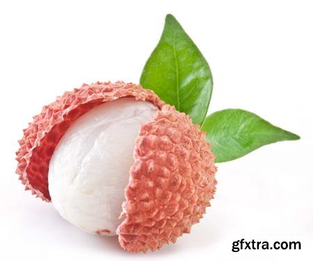 Vegetables and Fruits on White Background 49xJPG