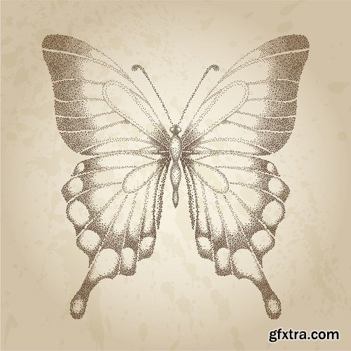 Stock Vector - Butterfly Flowers