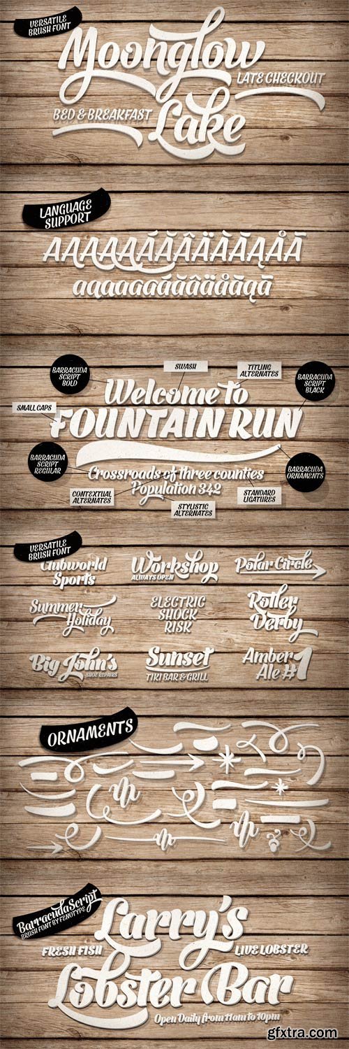 Barracuda Script Font Family 6xOTF