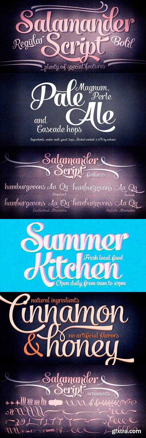 Salamander Font Family - 4 Fonts for $65 Salamander Font Family - 4 Fonts for $65