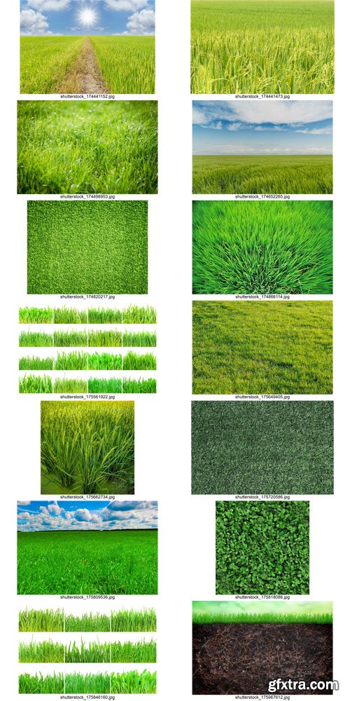 Shutterstock - Grass 2, 25xJpg