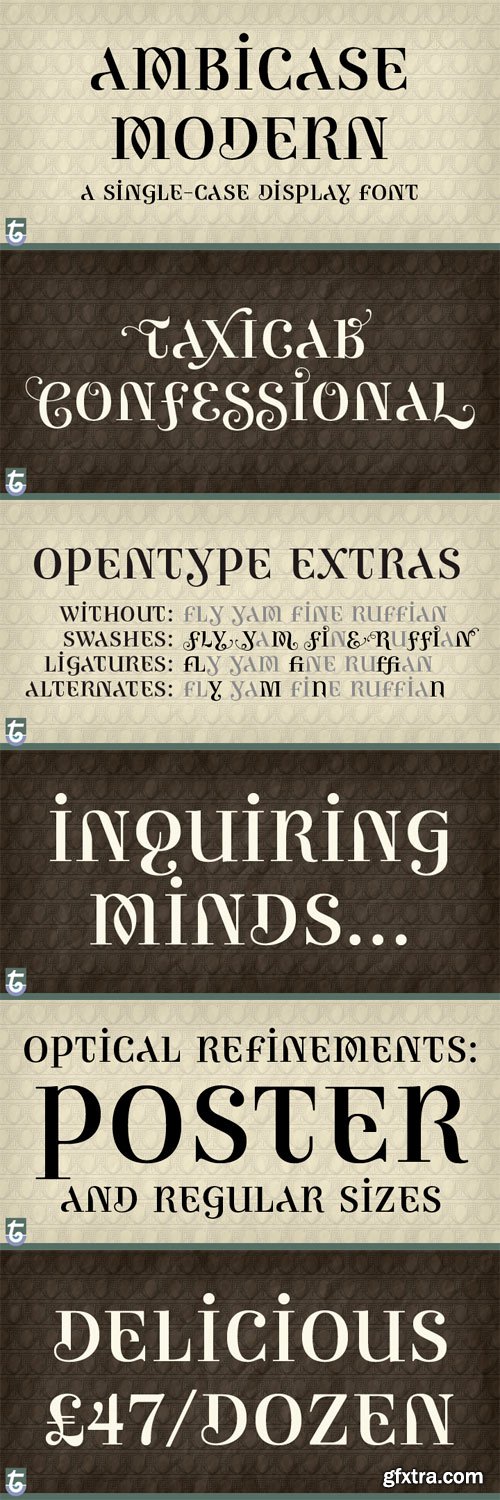 Ambicase Modern Font Family - 2 Fontys for $78