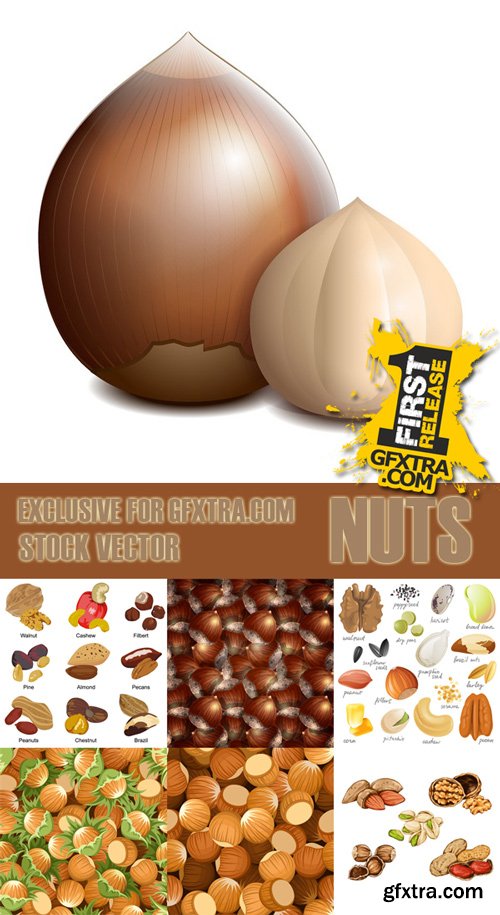 Shutterstock - Nuts Collection, 25xEps Shutterstock - Nuts Collection, 25xEps