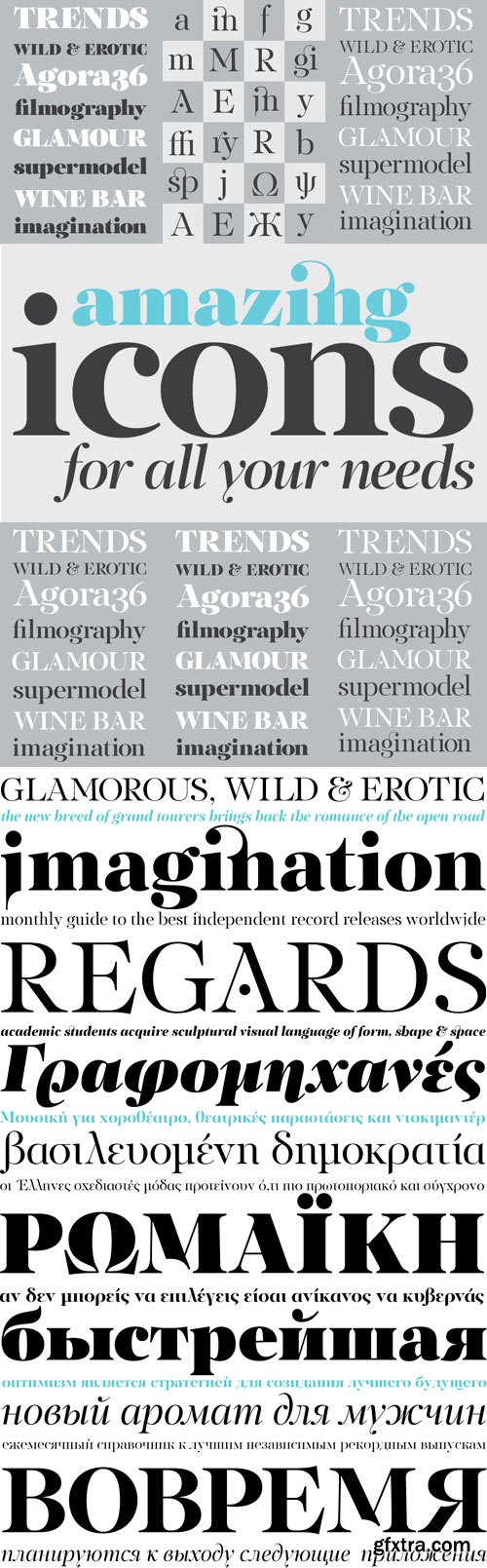 PF Regal Display Pro Font Family - 10 Fonts for $870