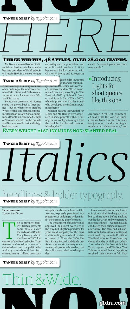 Tanger Serif Font Family - 48 Fonts for $1230