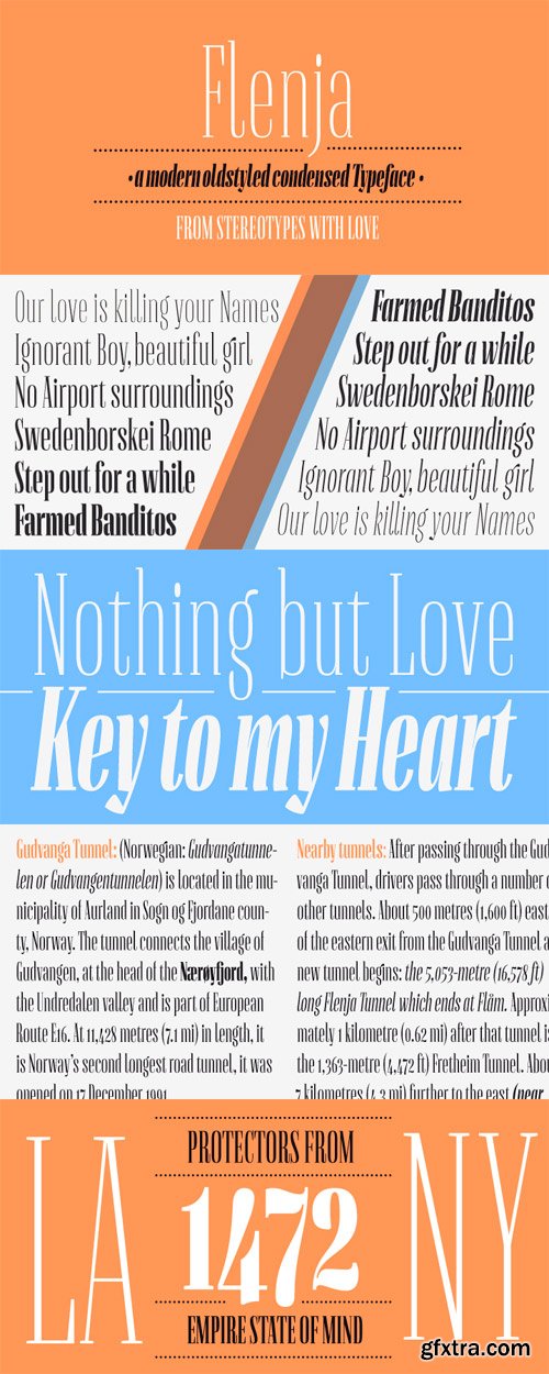 Flenja Font Family - 14 Fonts for $250