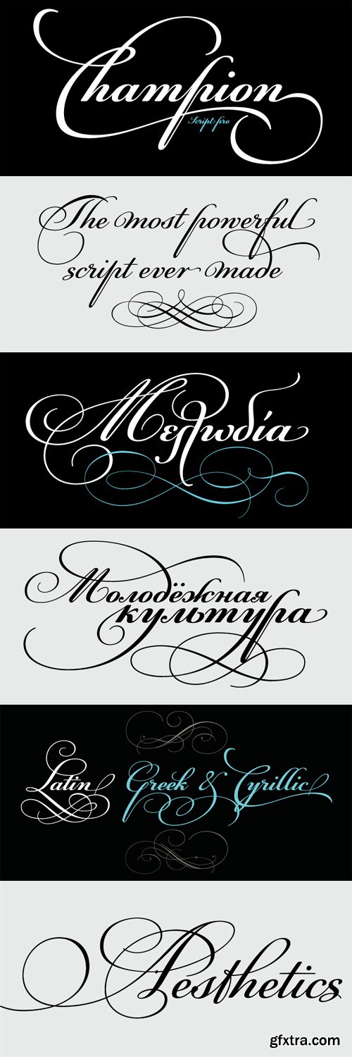 PF Champion Script Pro Font Family - 2 Fonts for $225