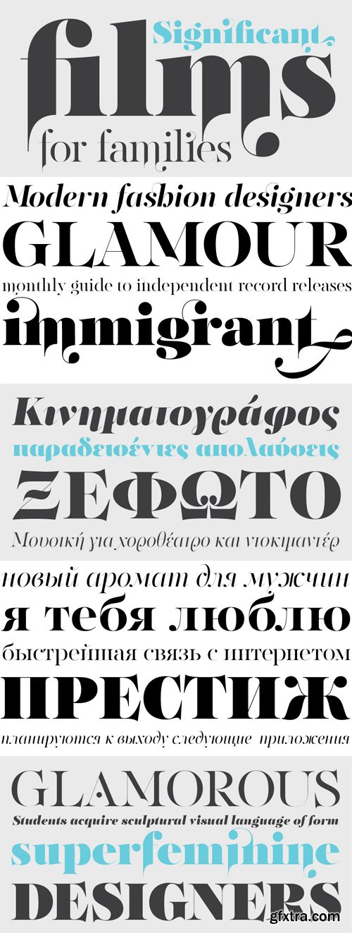 PF Regal Finesse Pro Font Family 10xOTF