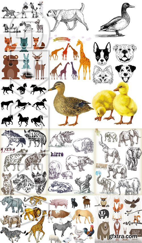 Stock Vectors - Animals, 38xEps! Stock Vectors - Animals, 38xEps!