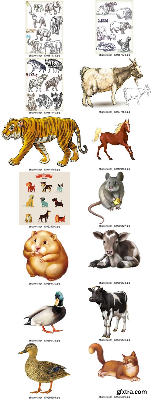 Stock Vectors - Animals, 38xEps!