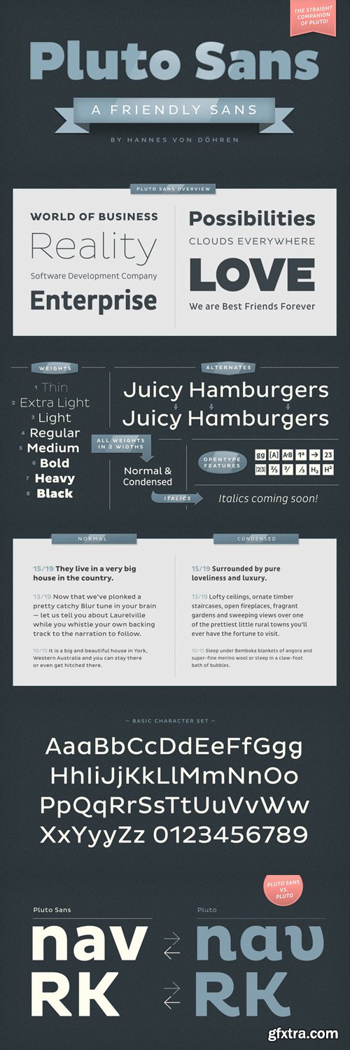 Pluto Sans Font Family - 16 Fonts for $299