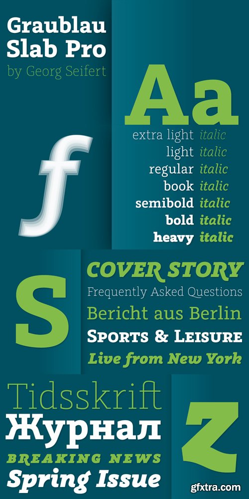 Graublau Slab Pro Font Family - 14 Fonts for $525
