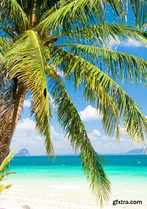 Paradise Vacation 4, 25xUHQ JPEG