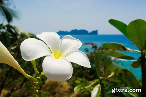 Paradise Vacation 4, 25xUHQ JPEG