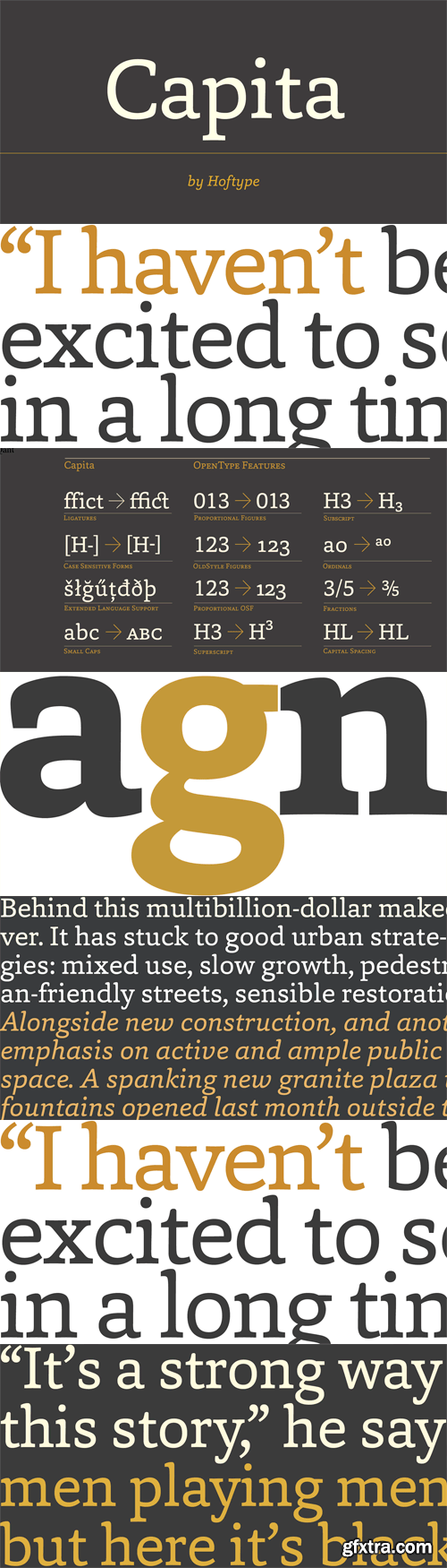 Capita Font Family 12xOTF