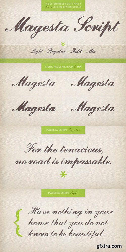 Magesta Script Font Family - 4 Fonts for $25 Magesta Script Font Family - 4 Fonts for $25