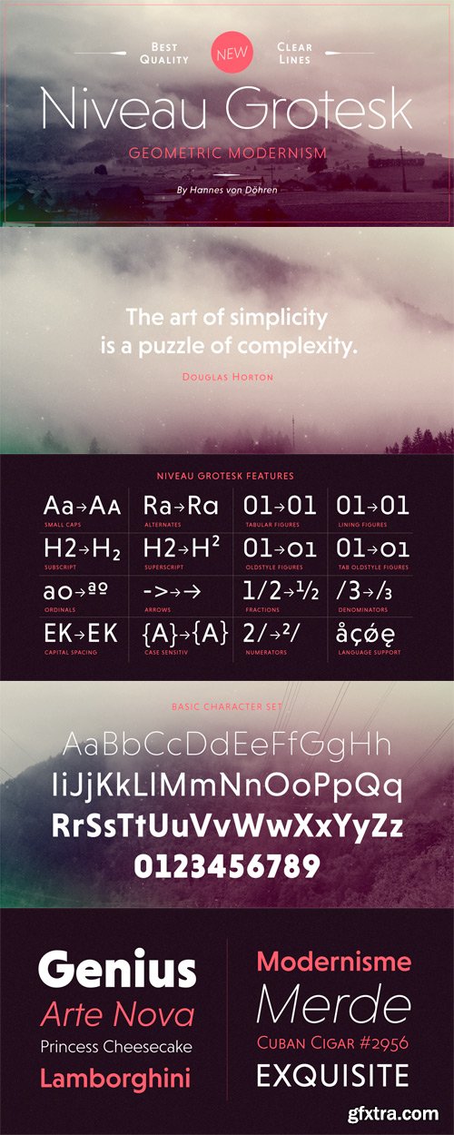 Niveau Grotesk Font Family - 18 Fonts for $249