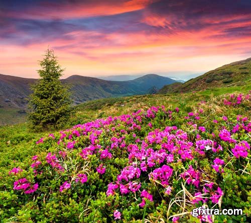 Beautiful landscape with mountains and flowers, 25xEPS
