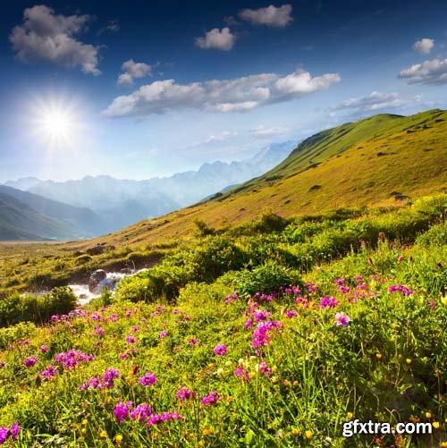 Beautiful landscape with mountains and flowers, 25xEPS