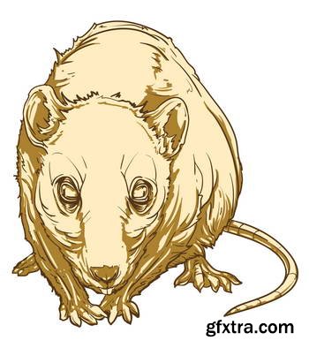 Animal Head Mascots 85xEPS [Tshirt-Factory]