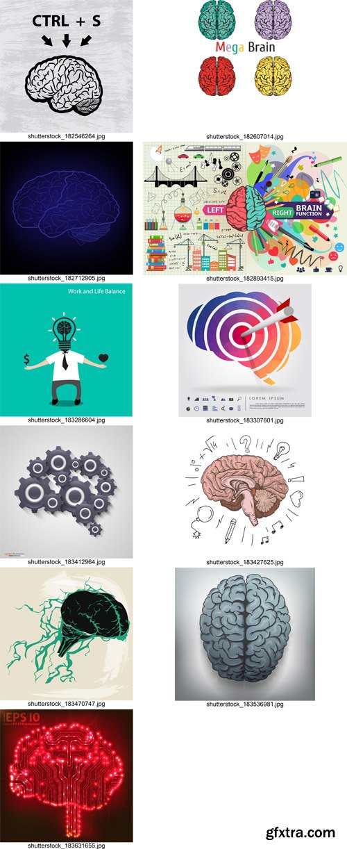 Stock Vectors - Brain, 25xEps Stock Vectors - Brain, 25xEps